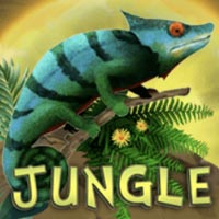 X8 Gaming - Jungle | best online