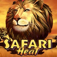 X8 Gaming - Safari Heat | best online