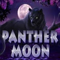 X8 Gaming - Panther Moon | best online