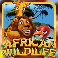X8 Gaming - African Wildilfe | best online
