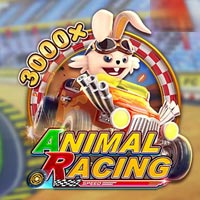 X8 Gaming - Animal Racing | slot online