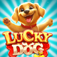 X8 Gaming - Lucky Dog | best online