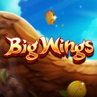 X8 Gaming - Big Wings | slot online