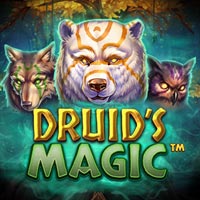 X8 Gaming - Druids Magic | slot online