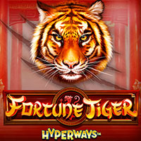 X8 Gaming - Fortune Tiger HyperWays | slot online