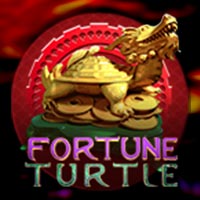 X8 Gaming - Fortune Turtle | slot online