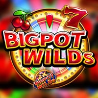 X8 Gaming - Bigpot Wilds | best online