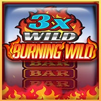 X8 Gaming - Burning Wild | best online