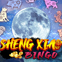 X8 Gaming - Sheng Xiao Bingo | slot online