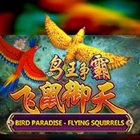 X8 Gaming - Bird Paradise - Flying Squirrels | slot online