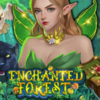 X8 Gaming - Enchanted Forest | slot online