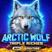 X8 Gaming - Arctic Wolf Triple Riches | best online
