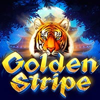 X8 Gaming - Golden Stripe | best online