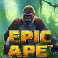 X8 Gaming - Epic Ape | best online
