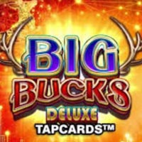 X8 Gaming - Big Bucks Deluxe Tapcards | best online