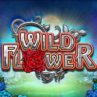 X8 Gaming - Wild Flower | best online