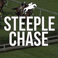 X8 Gaming - Steeple Chase | slot online