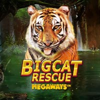 X8 Gaming - Big Cat Rescue Megaways | best online
