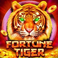 X8 Gaming - Fortune Tiger | best online