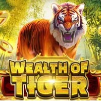 X8 Gaming - Wealth of Tiger | best online