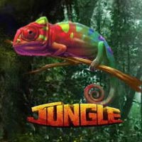 X8 Gaming - Jungle | best online