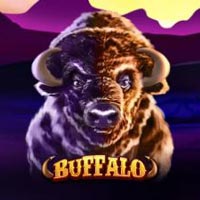 X8 Gaming - Buffalo | best online