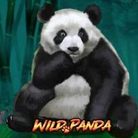 X8 Gaming - Wild Panda | best online
