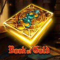 X8 Gaming - Book of Gold | best online