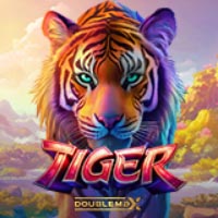X8 Gaming - Tiger DoubleMax | best online