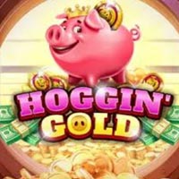 X8 Gaming - Hoggin Gold | best online