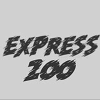 X8 Gaming - Express 200 | slot online