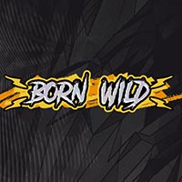 X8 Gaming - Born Wild | slot online