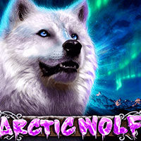 X8 Gaming - Arctic Wolf | best online