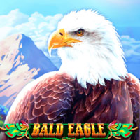 X8 Gaming - Bald Eagle | best online