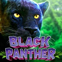 X8 Gaming - Black Panther | best online