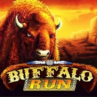 X8 Gaming - Buffalo Run | best online