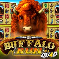 X8 Gaming - Buffalo Run Quad | best online
