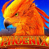 X8 Gaming - Phoenix | best online