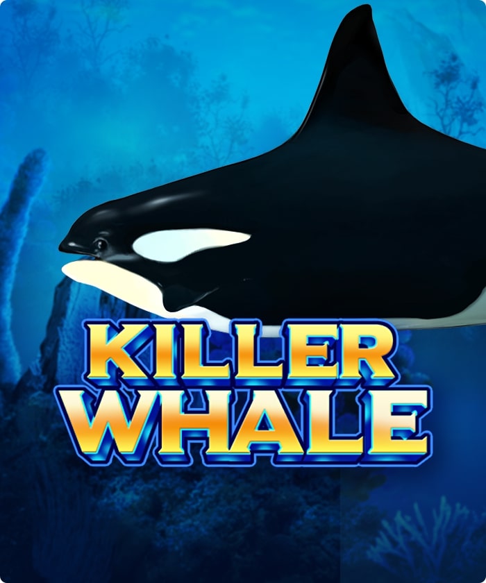 X8 Gaming - Killer Whale | best online