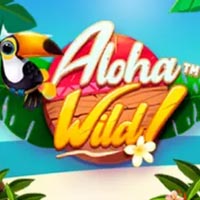 X8 Gaming - Aloha Wild! | best online
