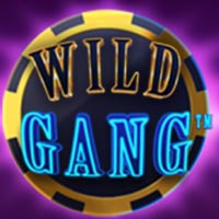 X8 Gaming - Wild Gang | best online