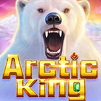X8 Gaming - Arctic King | best online