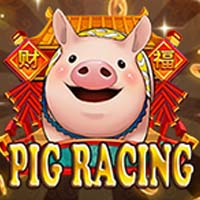 X8 Gaming - Pig Race | best online