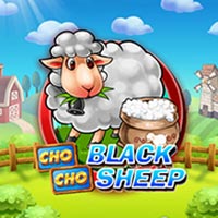 X8 Gaming - Black Sheep | best online