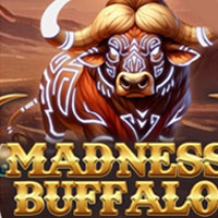 X8 Gaming - Madness Buffalo | best online