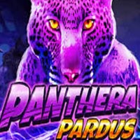 X8 Gaming - Panthera Pardus | best online