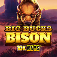 X8 Gaming - Big Bucks Bison 10K Ways | best online