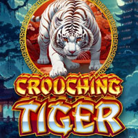 X8 Gaming - Crouching Tiger | best online