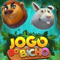 X8 Gaming - Jogo do Bicho Bingo | best online