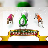 X8 Gaming - Dog Racing | slot online